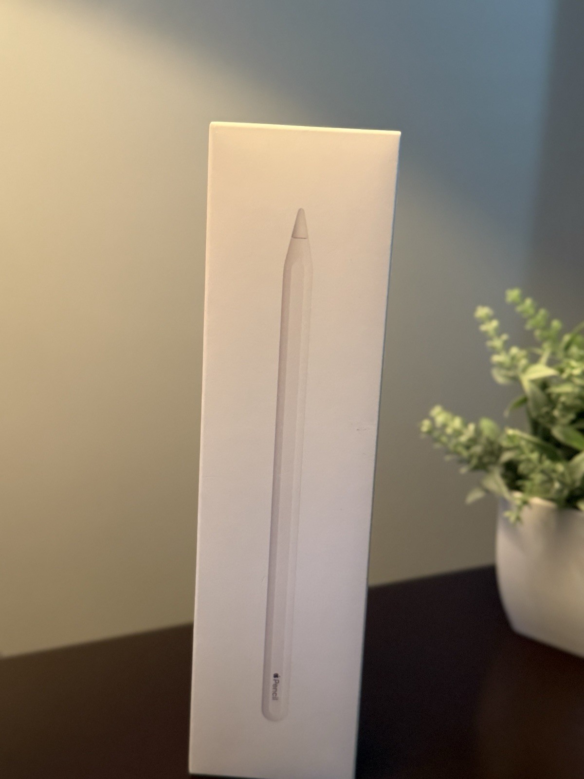 Genuine Apple Pencil Gen2: MU8F2AM/A  iPad Magnetic Charging; Lightly-Used OEM