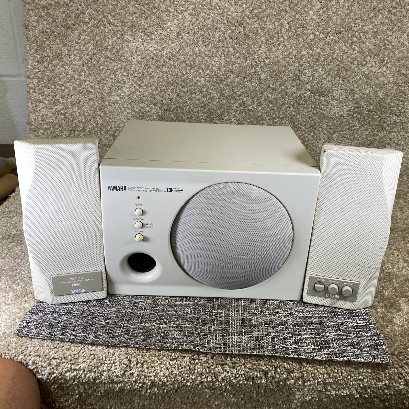 YAMAHA YST-MSW10 Subwoofer System Speaker Works