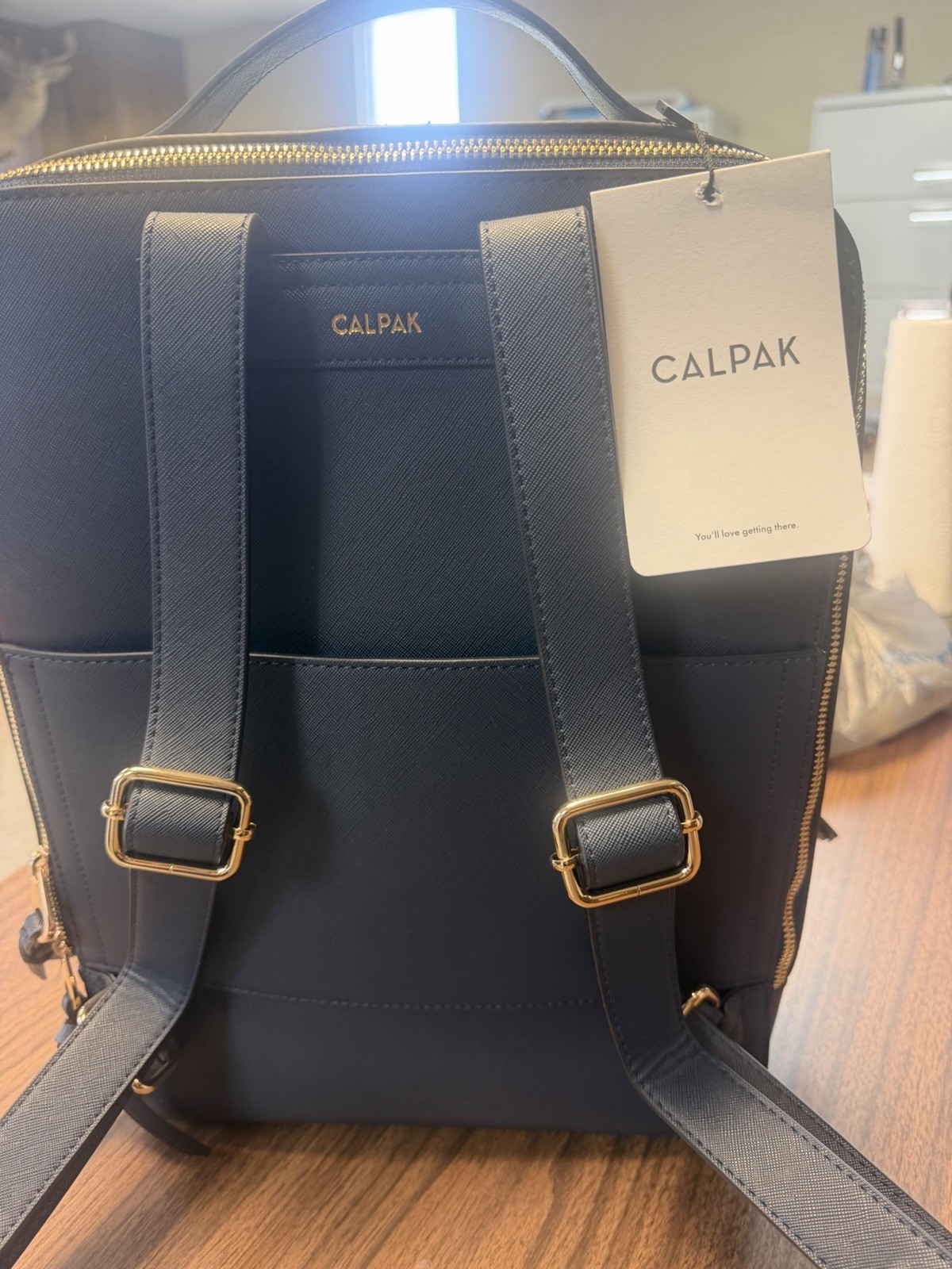 Calpak Holds 15 Inch Lap Top Laptop Backpack
