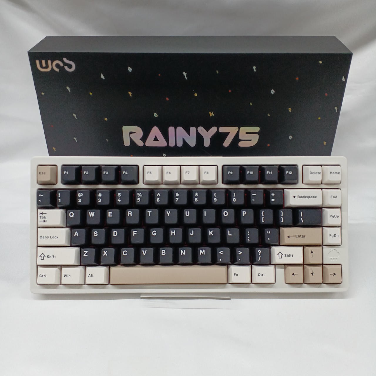 Keyboard Model RAINY75PRO WOBKEY