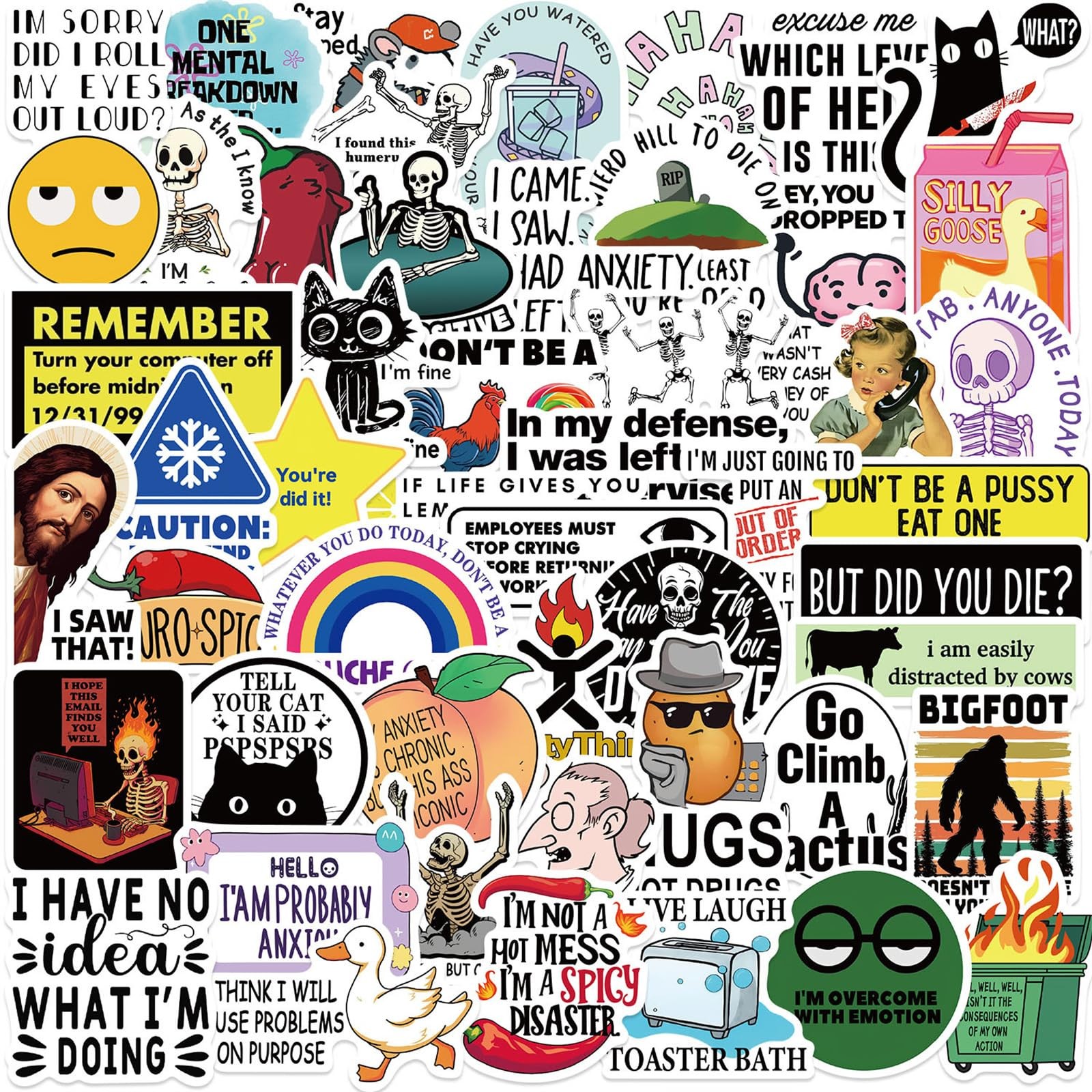 50PCS Funny Stickers for Adults Snarky Meme Prank Dirty Hilarious 
