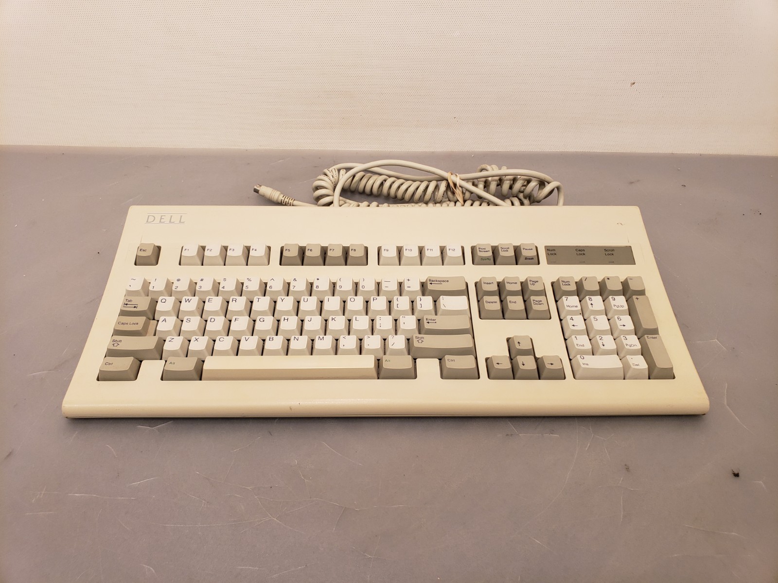 Vintage Dell Keyboard AT101 BigFoot Old Logo, Alps SKCM Salmon Switches PS/2