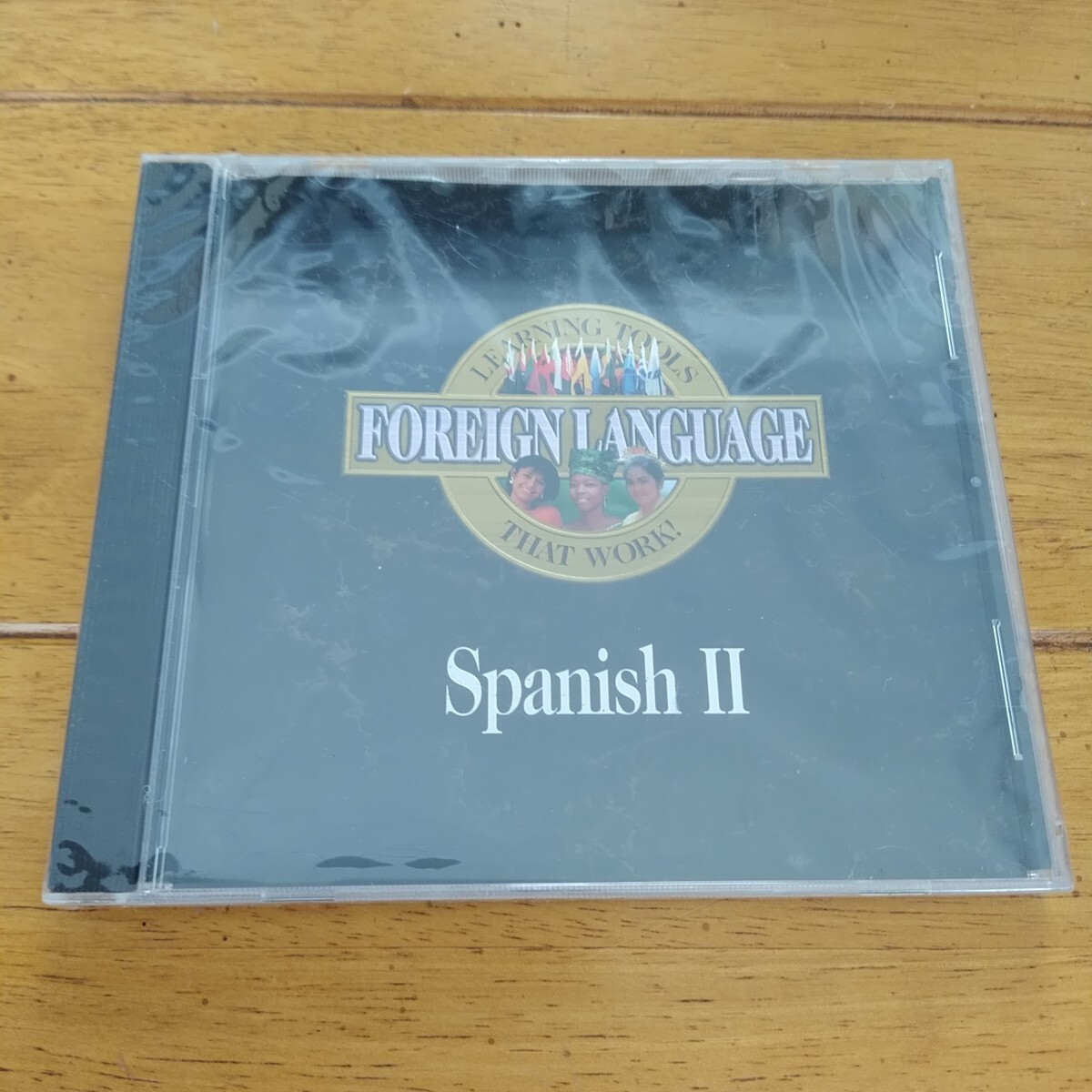 PRO ONE SPANISH II Foreign Language - CD-ROM - NEW