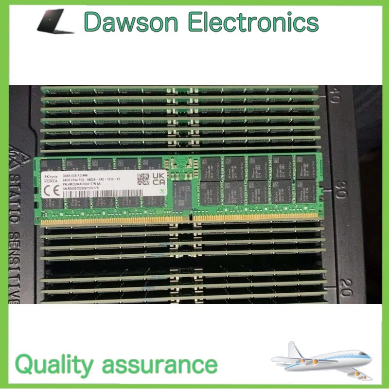 NewSK hynix 64GB DDR5 5600MHz Server RAM 2Rx4 PC5-5600B RDIMM HMCG94AGBRA177N