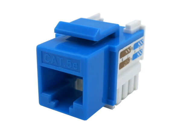 100 Lot CNAweb Cat5e RJ45 Modular Keystone Network Jack, 110 Style, Blue