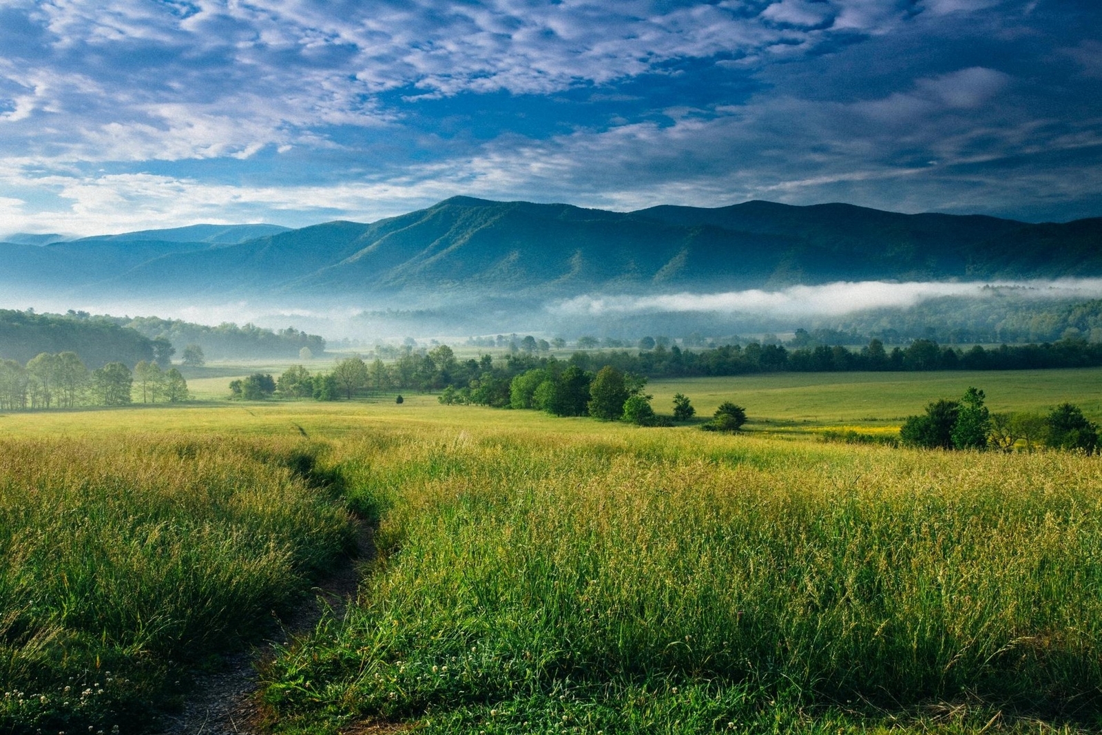 Landscape nature mountains mist valley trees clouds Custom Gaming Mat Desk