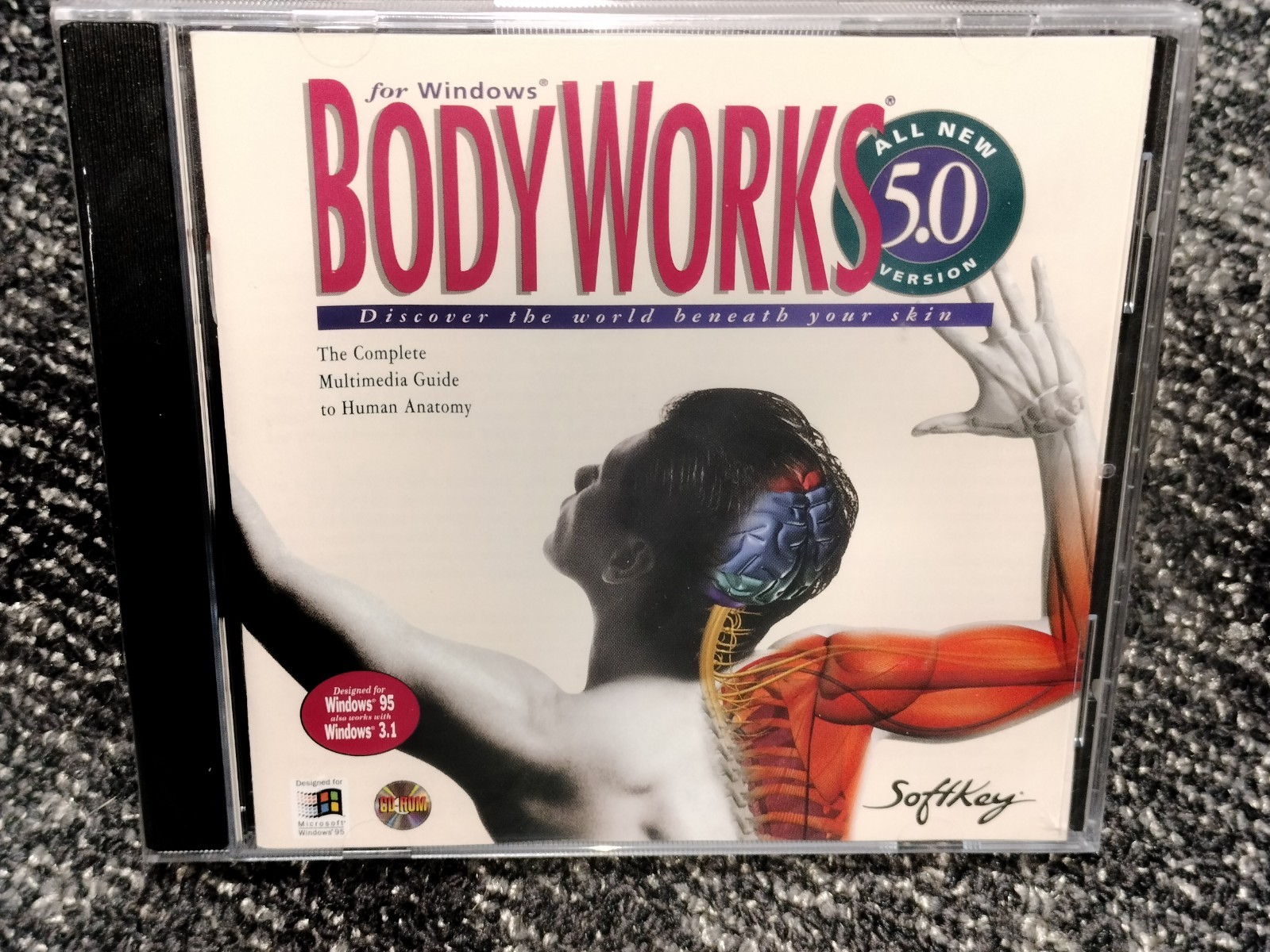 Bodyworks 5.0 (Windows CD-Rom, 1995, Softkey) PC Human anatomy Brand new sealed