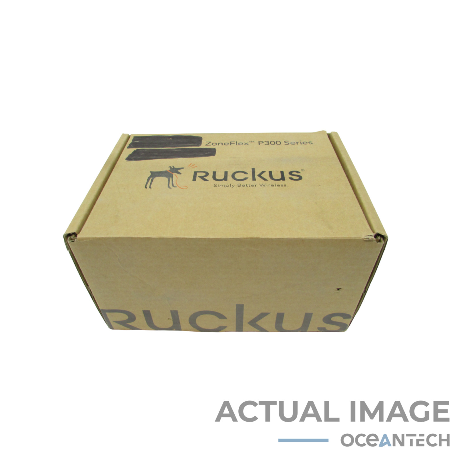 Ruckus Wireless ZoneFlex P300 5 GHz Wireless Access Point - IEEE 901-P300-US01