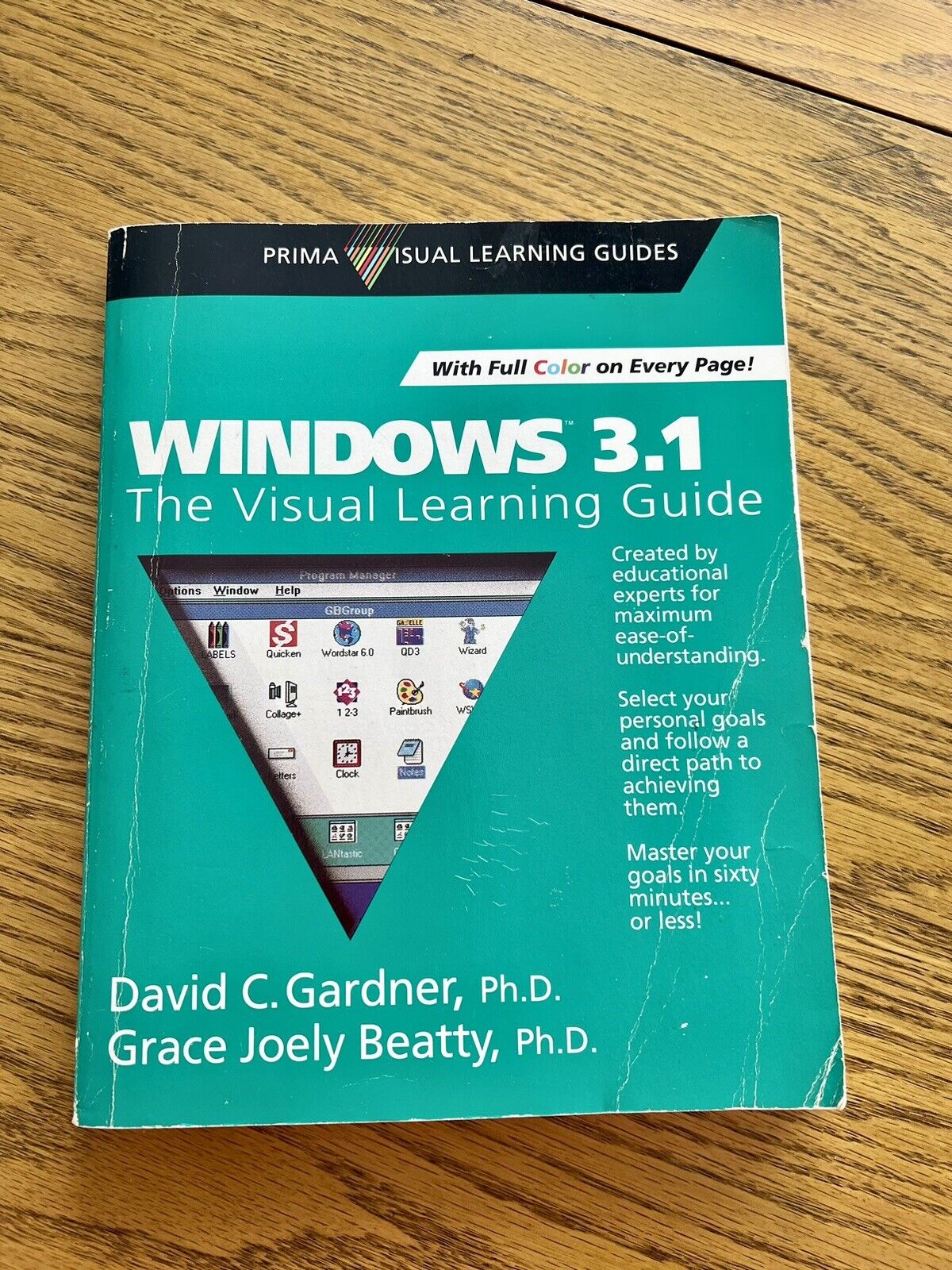 Windows 3.1 The Visual Learning Guide David Gardner 1992 Grace Beatty SHIPS FREE