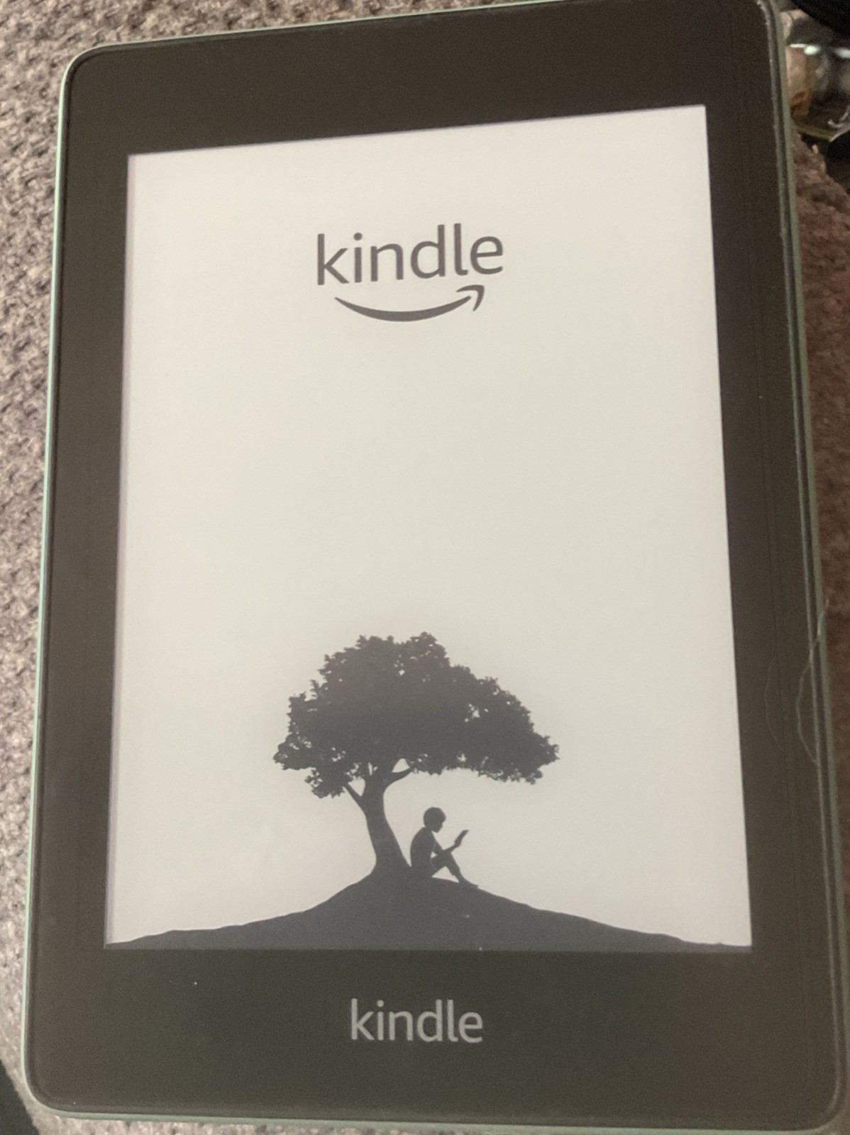 Amazon Kindle Paperwhite 10th Gen Wi-Fi 6" E-Reader Matcha Device And Case Bund.