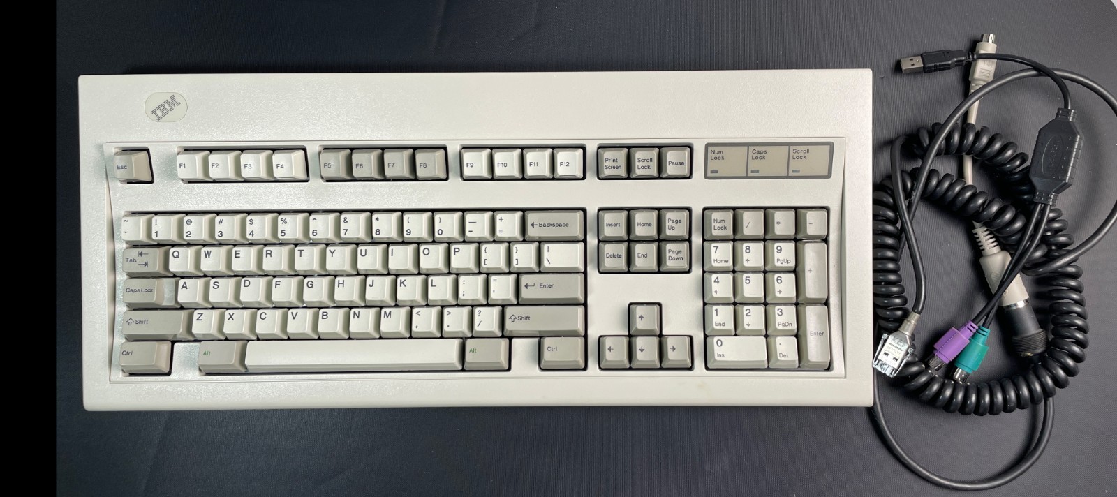 Vntg IBM Model M 1391401 -Sep 18, 1987  Bolt-Mod Restored + Cables-Rainbow Plate