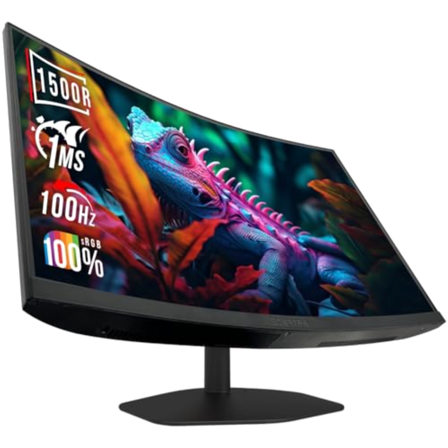 24 Inch Curved Monitor 100Hz 1500R Eye Care Display HDMI DisplayPort Speakers