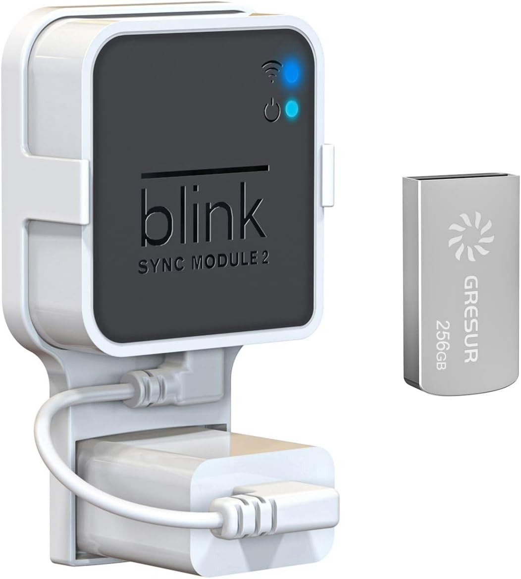 256GB USB Flash Drive for Blink Sync Module 2 with Outlet Wall Mount(1Pack)
