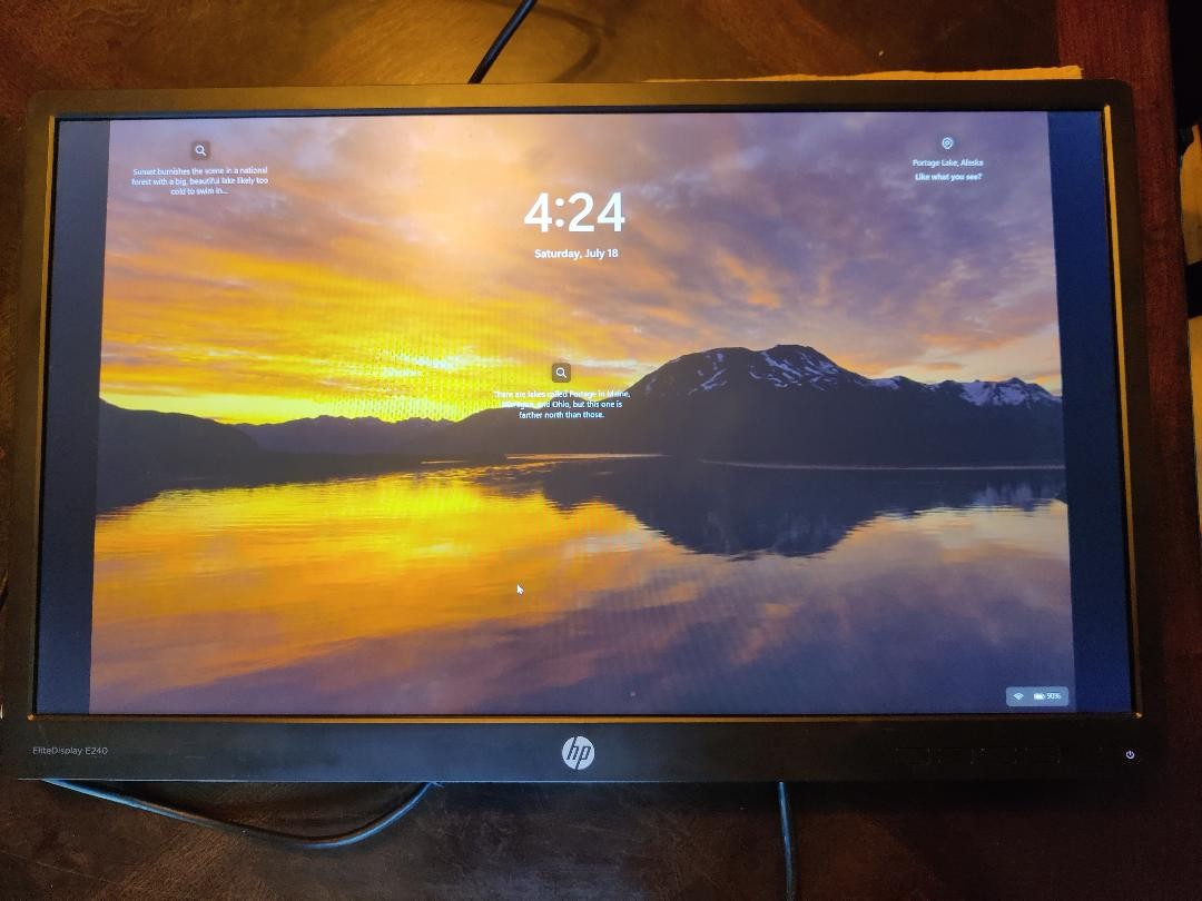 HP EliteDisplay E240 23.8" Monitor 1920x1080 @60Hz VGA HDMI DisplayPort NO STAND