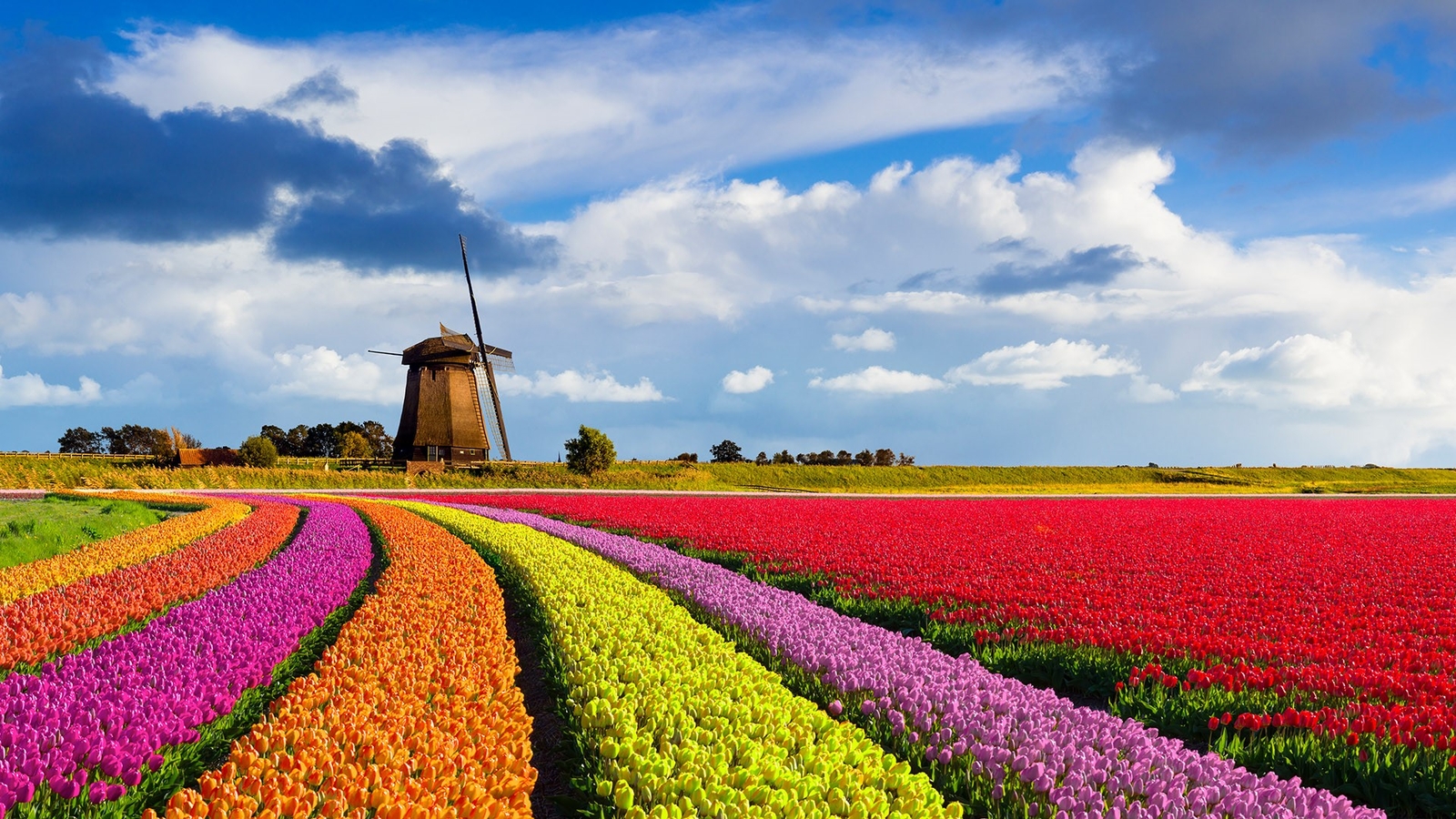 Landscape nature windmill flowers clouds sky red orange Custom Gaming Mat Desk