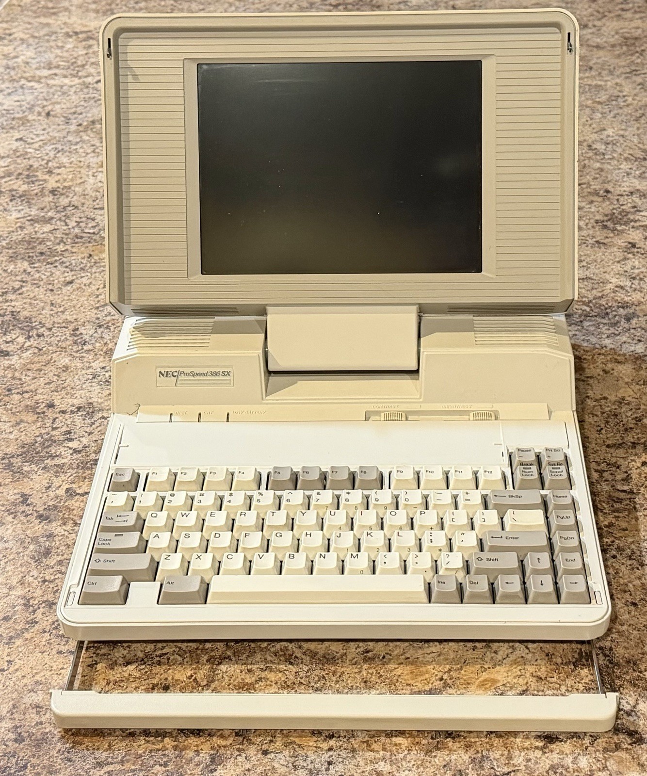 Vintage NEC ProSpeed 386SX Complete Computer System