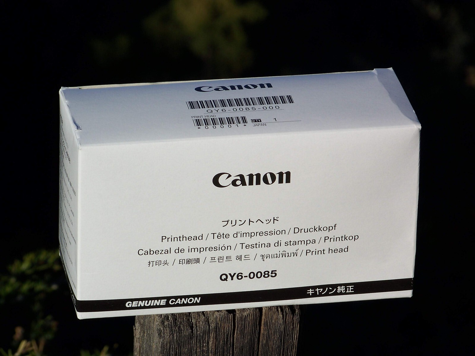 New Genuine Canon QY6-0085-020 printhead  for Pixma PRO-10, PRO-10s, PRO-300