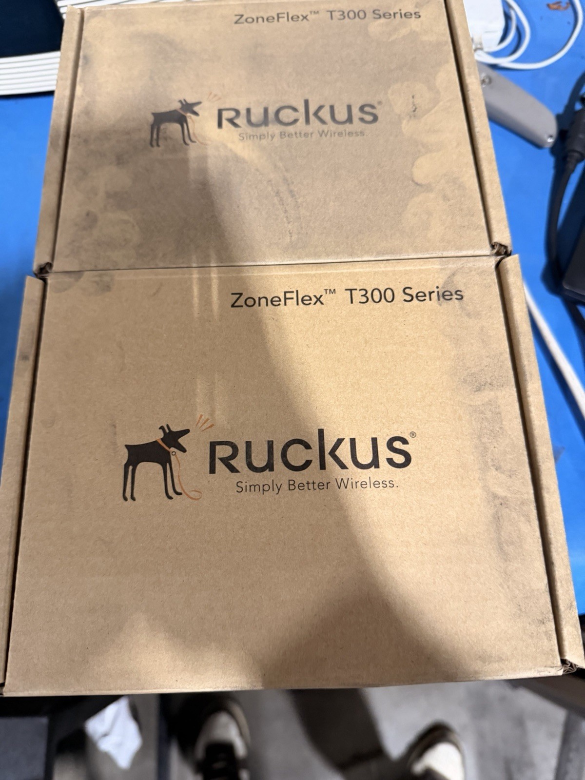 Ruckus 901-T300-US01 Zoneflex T300 Outdoor Wireless Access Point Brand New