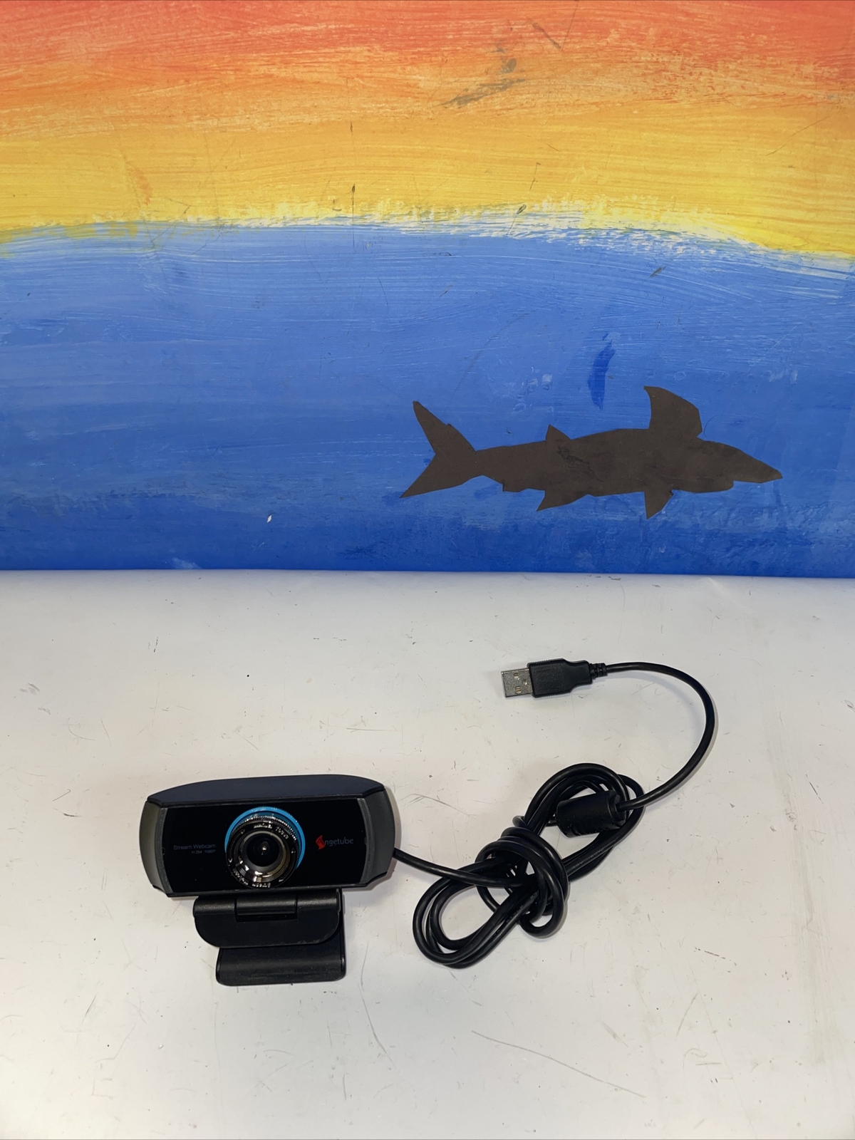 Angetube 920 PC Windows Mac 1080P USB Webcam Streaming