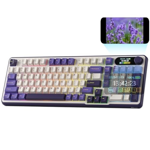 RK ROYAL KLUDGE S98 Mechanical Keyboard w/Smart Display & Knob, Top Mount