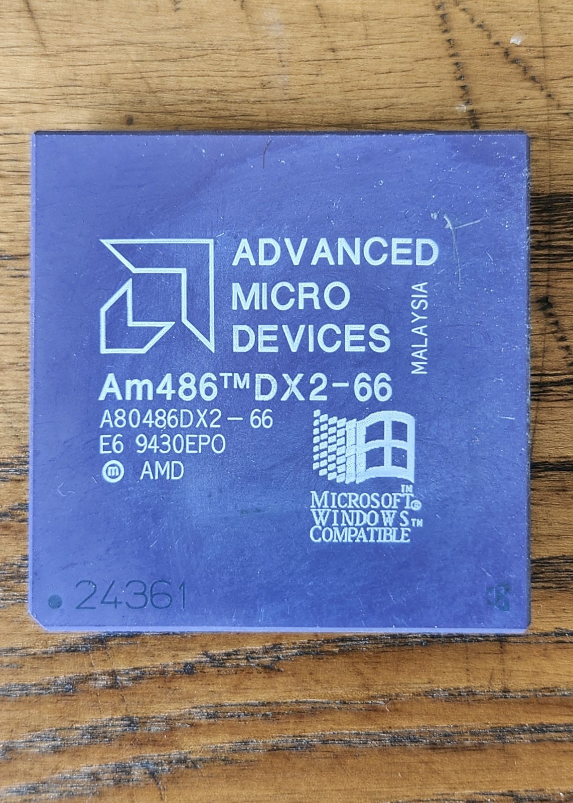 AMD 486 DX2 66 MHz CPU A80486DX2-66 Very Rare Vintage Processor Collectible