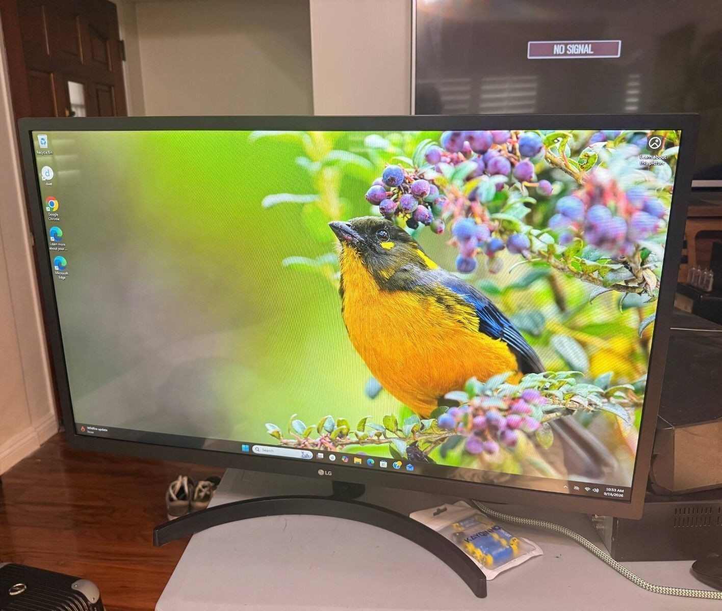 LG 32MN60T-B 32" FHD IPS Computer Monitor 1920x1080 75Hz AMD FreeSync HDMI Black