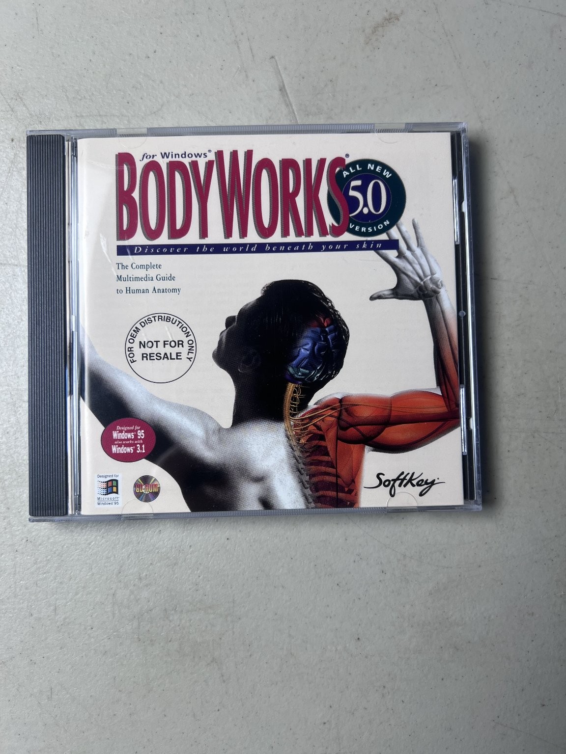 SoftKey BODYWORKS 5.0 Human Anatomy Software CD-ROM Windows 95 3.1