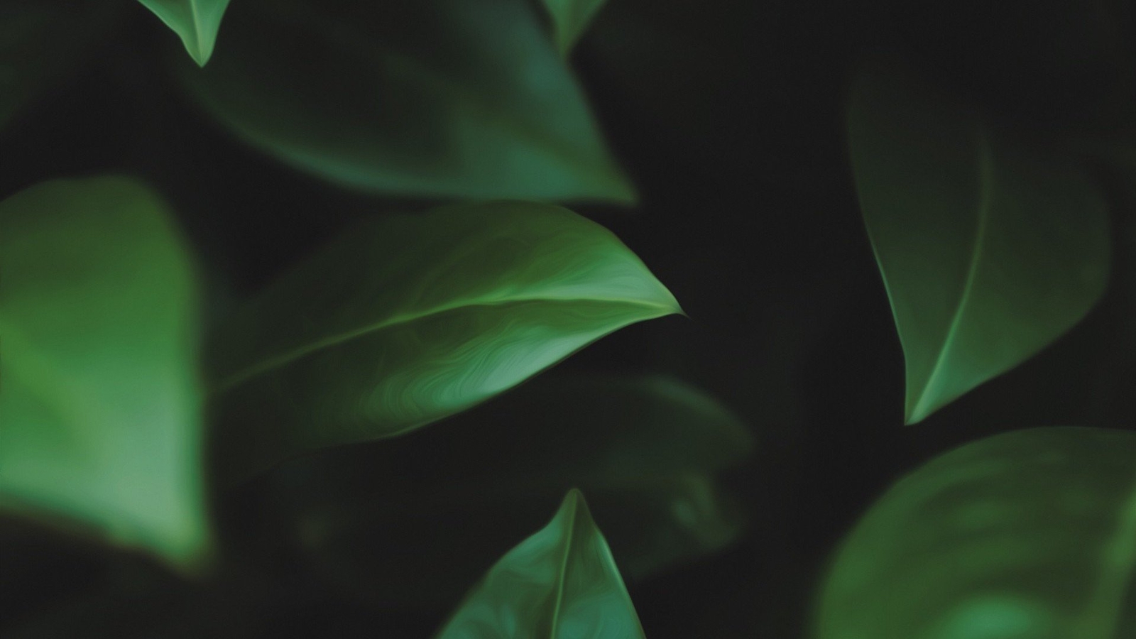 Landscape macro green nature leaf Custom Gaming Mat Desk