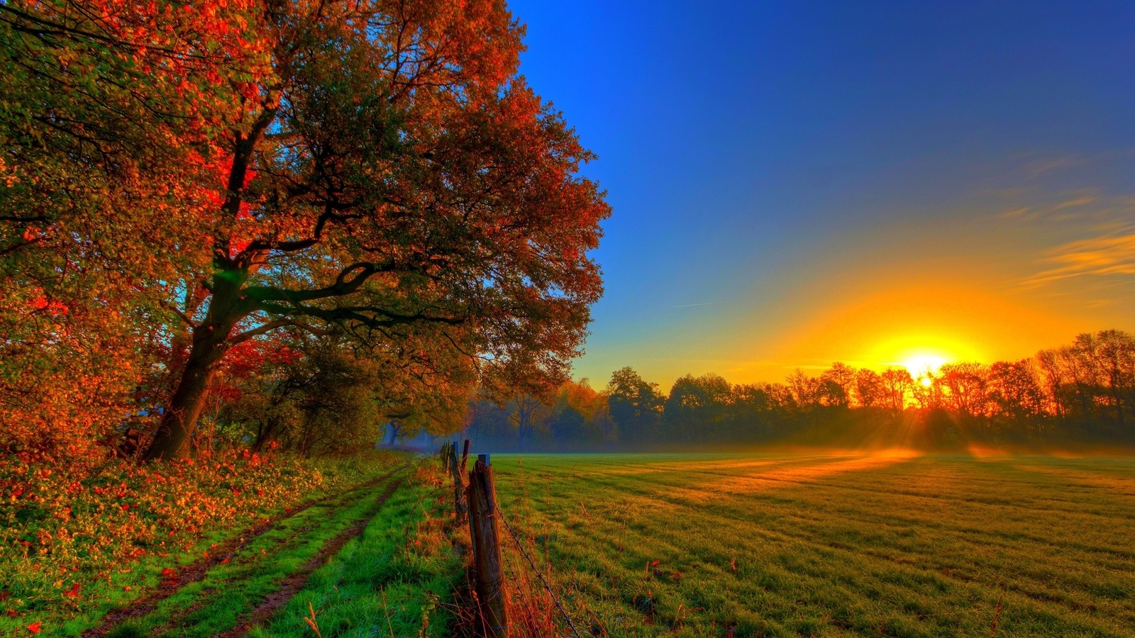 Landscape sunset fall sunlight field trees Custom Gaming Mat Desk