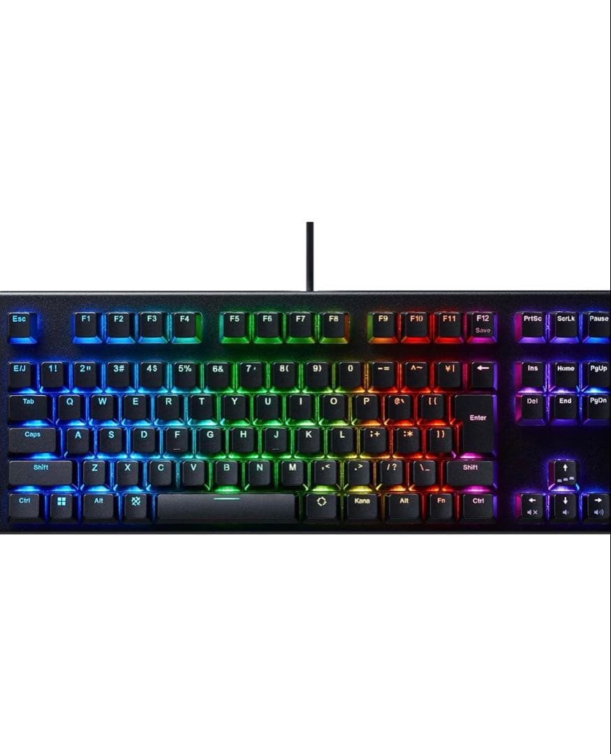 REALFORCE GX1 Gaming Keyboard 45g One Keycap Missing Topre EC TKL RGB Wired
