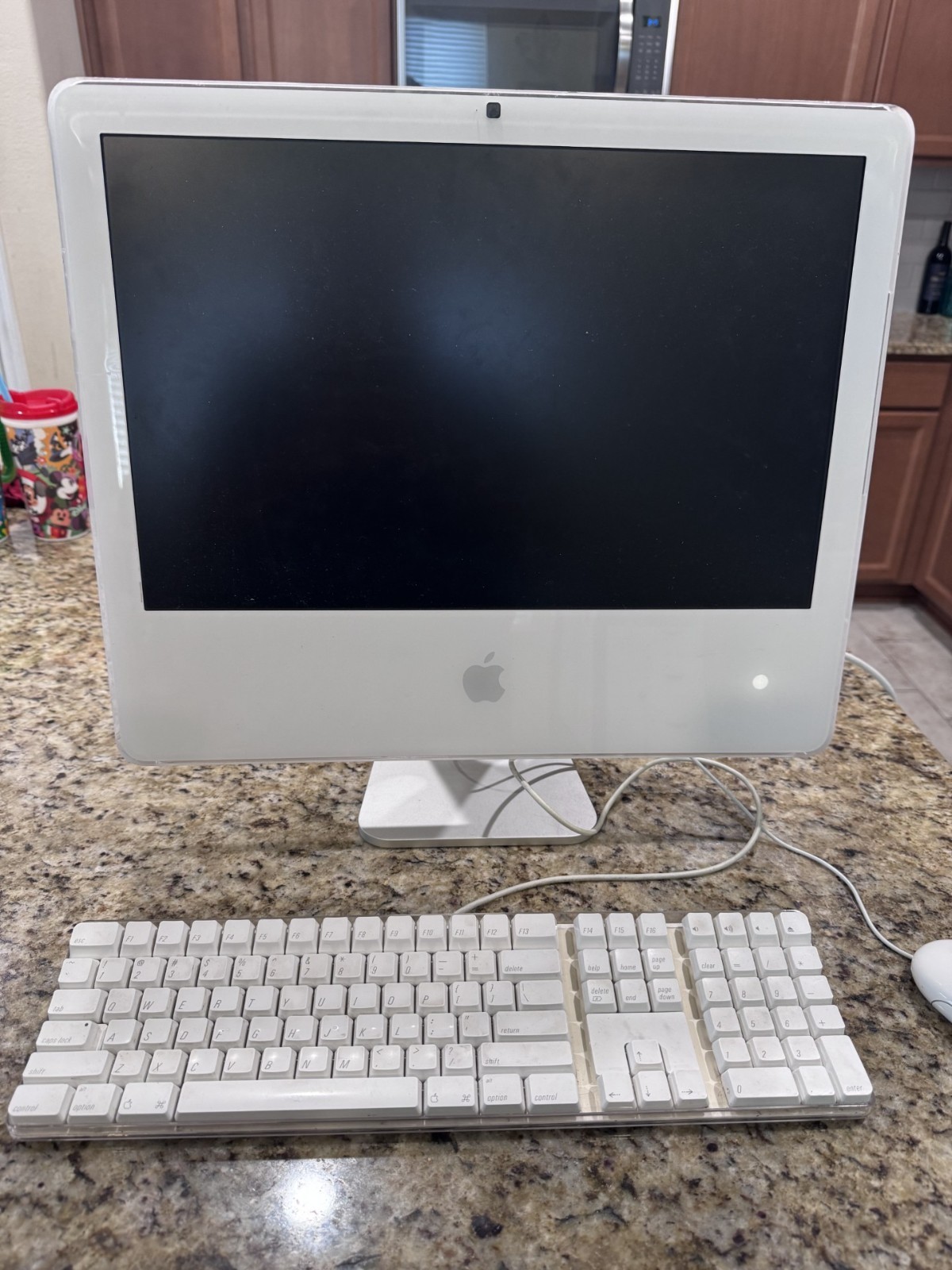 Apple iMac 20” Complete Setup - Model A1207 with Keyboard & Mouse