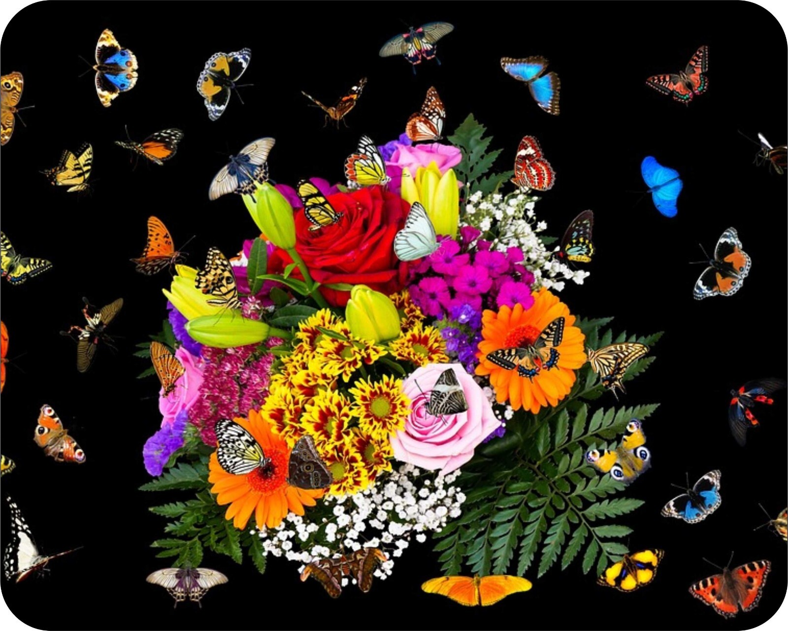 Colorful Butterflies  and Flower Art Designs Novelty Mouse Pad Stunning photogra