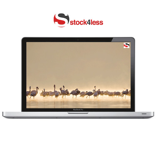 Apple MacBook Pro 13.3" Core 2 Duo P8400 2.26GHz 4GB RAM 160GB HDD - Warranty
