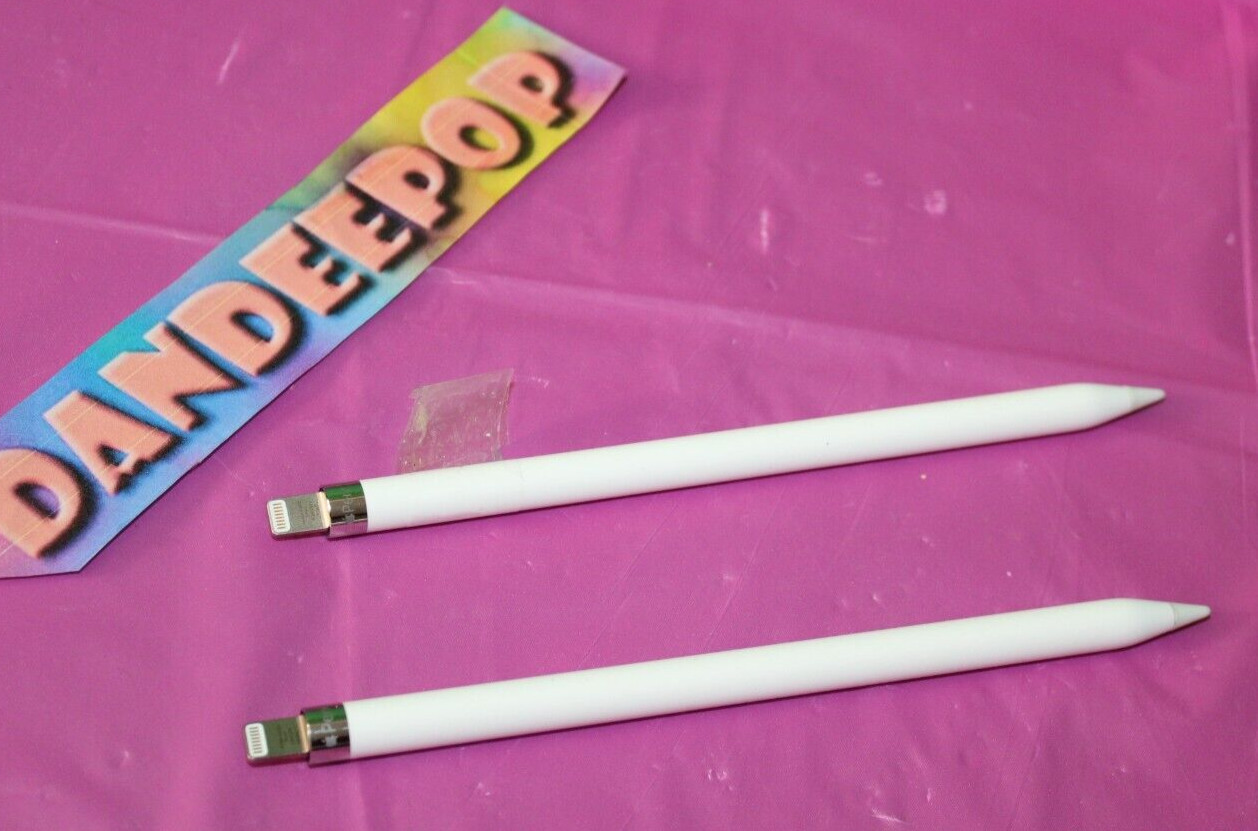 2 Piece Apple Pencil Stylus OEM Computer Tablet Writing Drawing Accessory