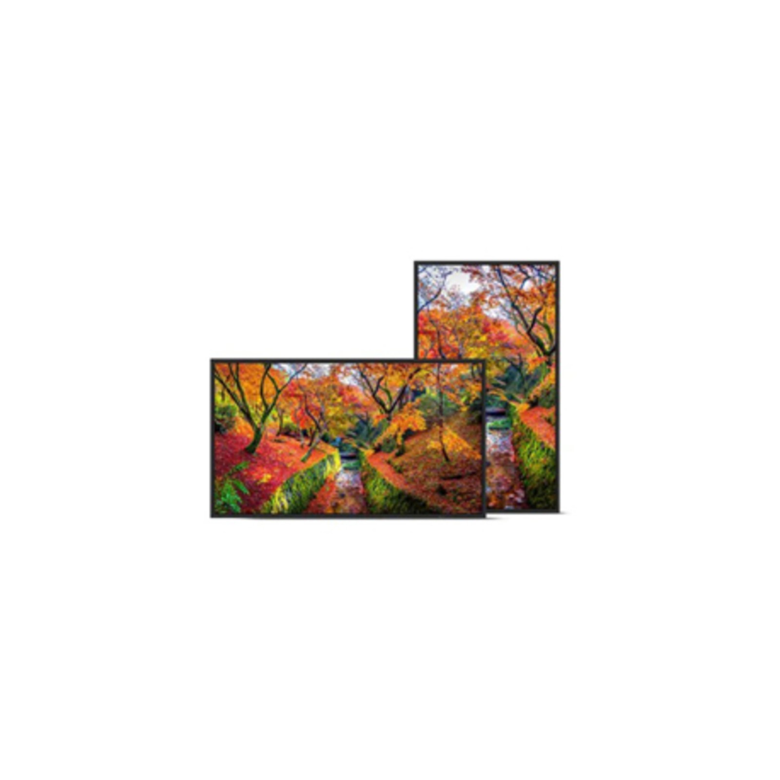 Sharp - PN-E329 - Sharp PN-E329 32 Full HD Professional Display - 31.50 LCD -