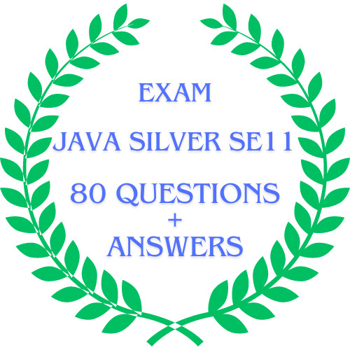 Oracle Certified Java Programmer, Silver SE11, 80 Q&A, October Updated