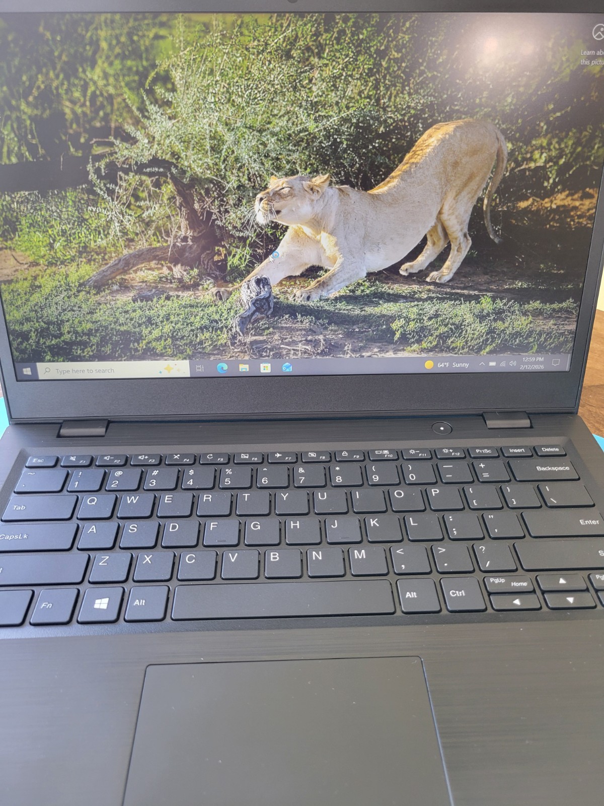 This Is a Lenovo 14 Model: TYPE 81MQ- 000JUS - Used, Clean Win Installed