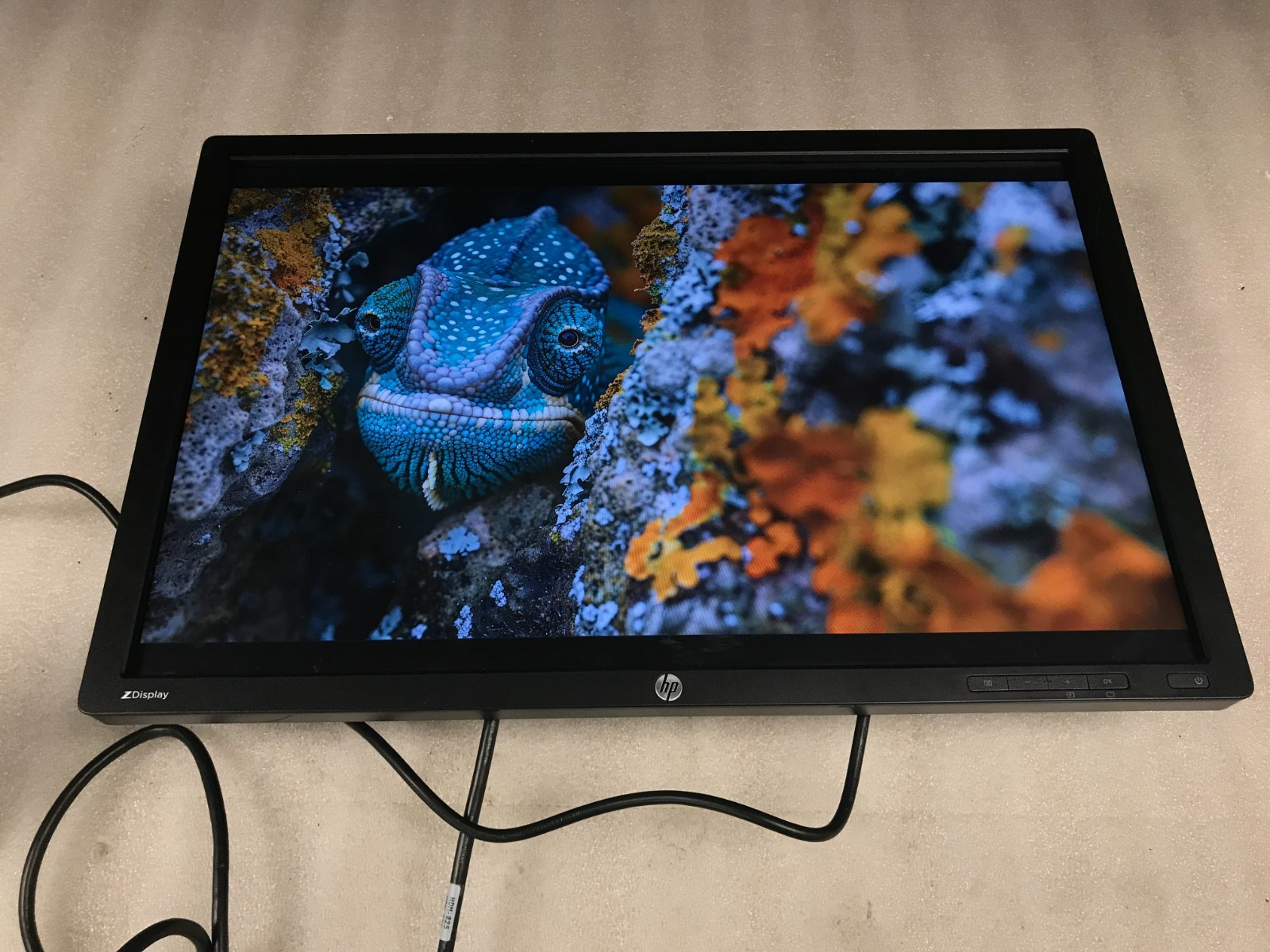 HP Z24i 24" 1920x1200 IPS LED Computer Monitor - No Stand - Tested
