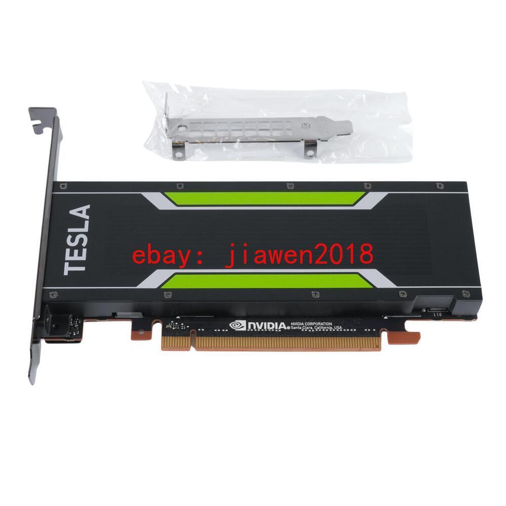 NVIDIA Tesla P4 8GB GDDR5 CUDA Pascal GPU PCI-e 3.0 x16 Accelerator