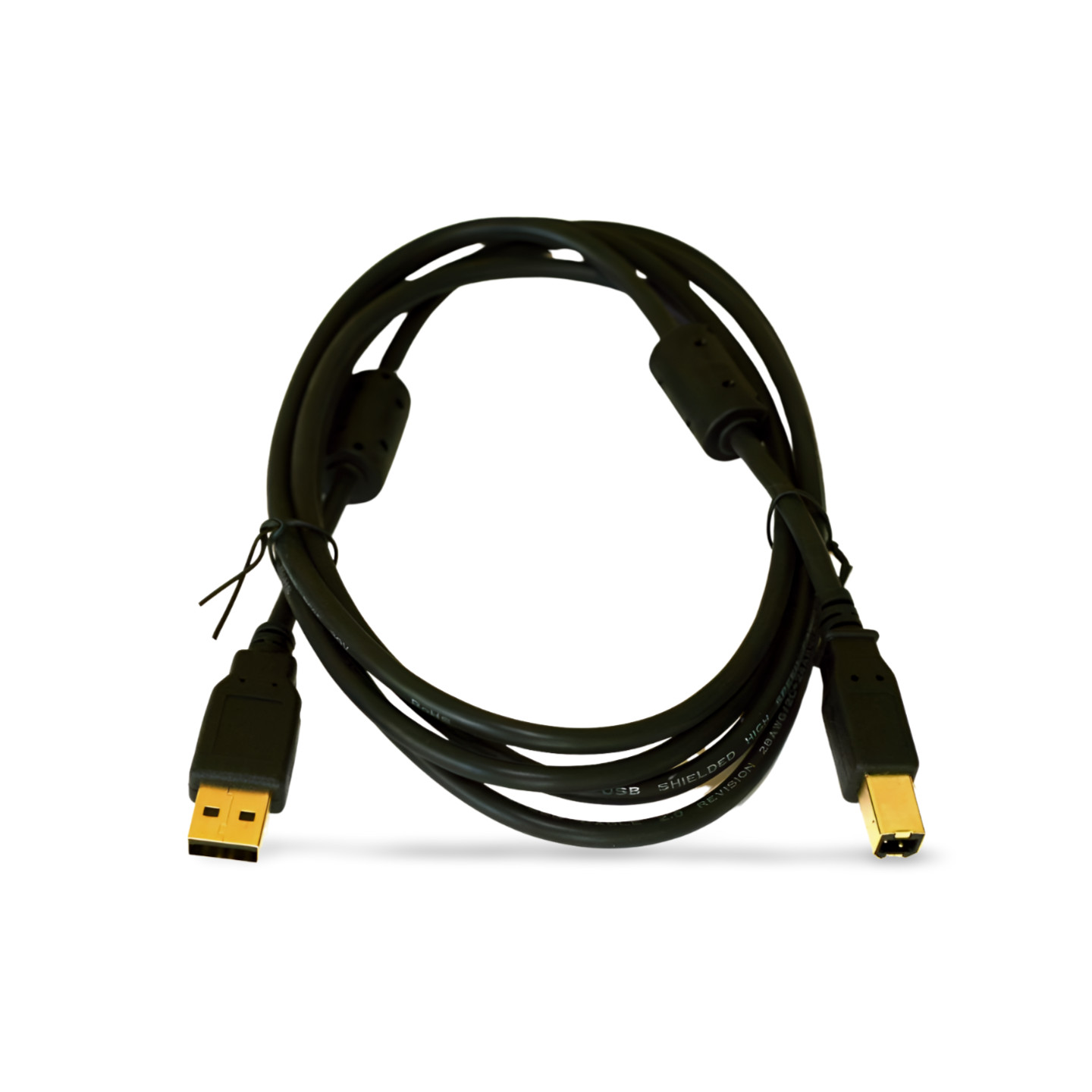 6ft USB 2.0 Cable Dual Ferrite Chokes Type A to Type B (U023-006) - Black