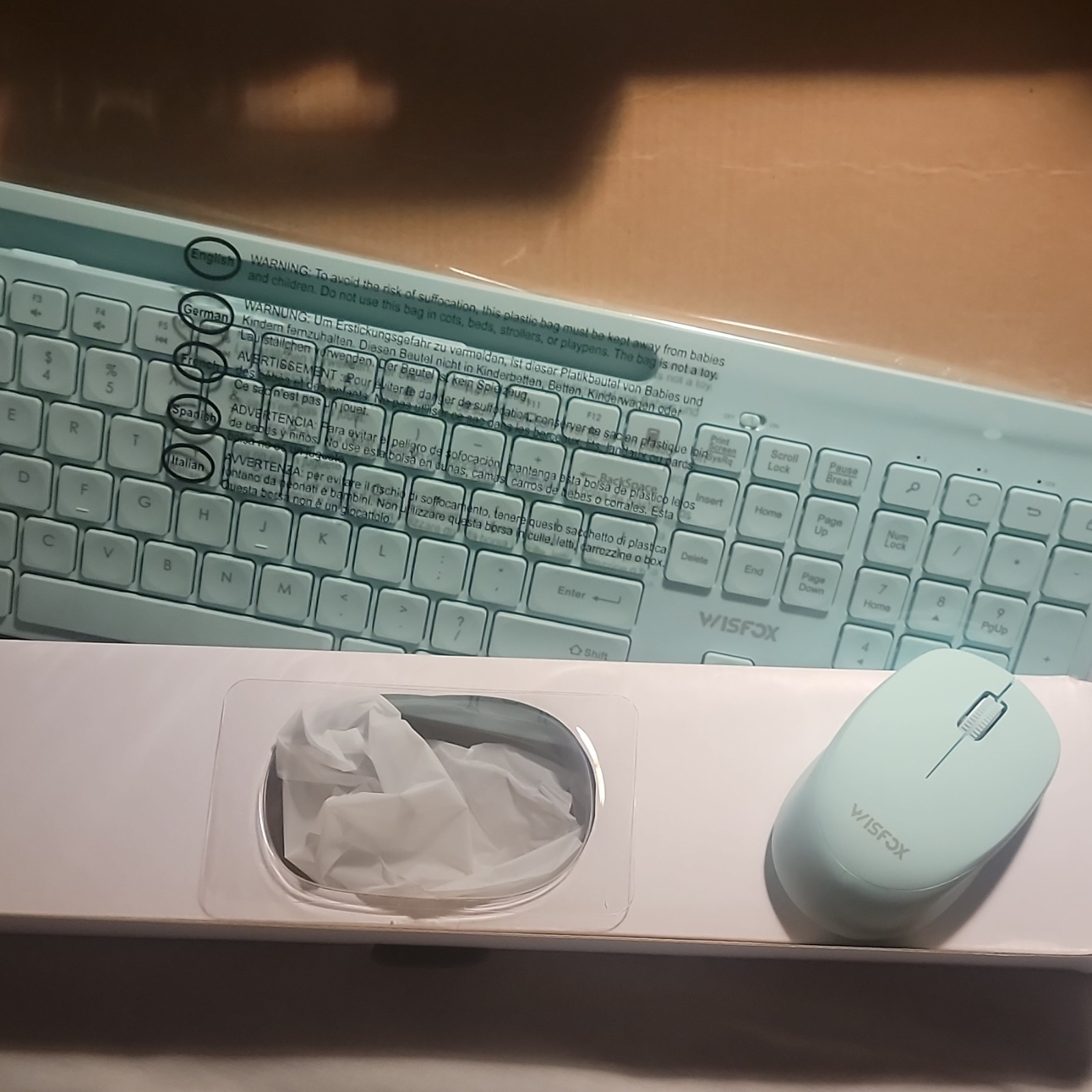 WISFOX Wireless Keyboard and Mouse Bundle Mint Green QWERTY English