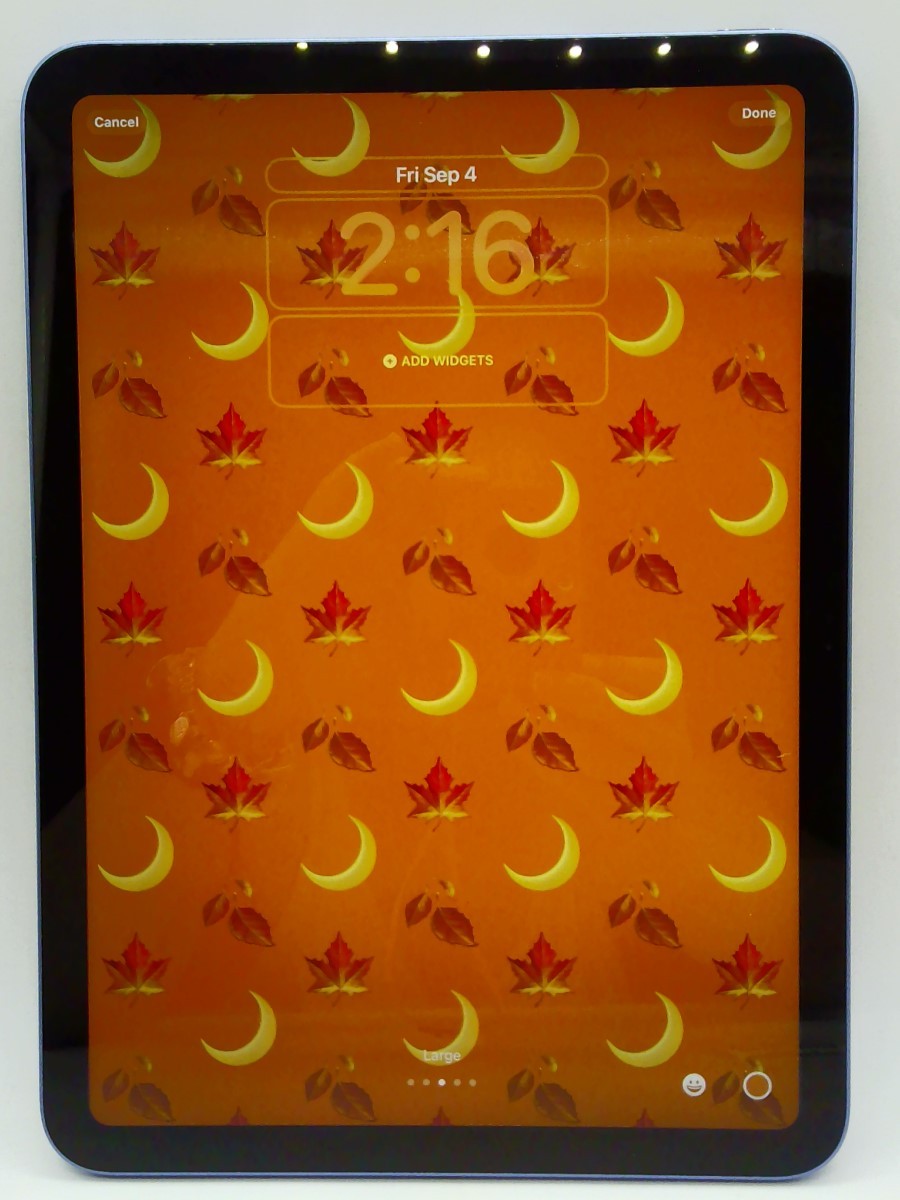 APPLE IPAD A16 MD4A4LL/A 128GB Blue Tablet Computer Wifi Only No Cha (EC3043916)