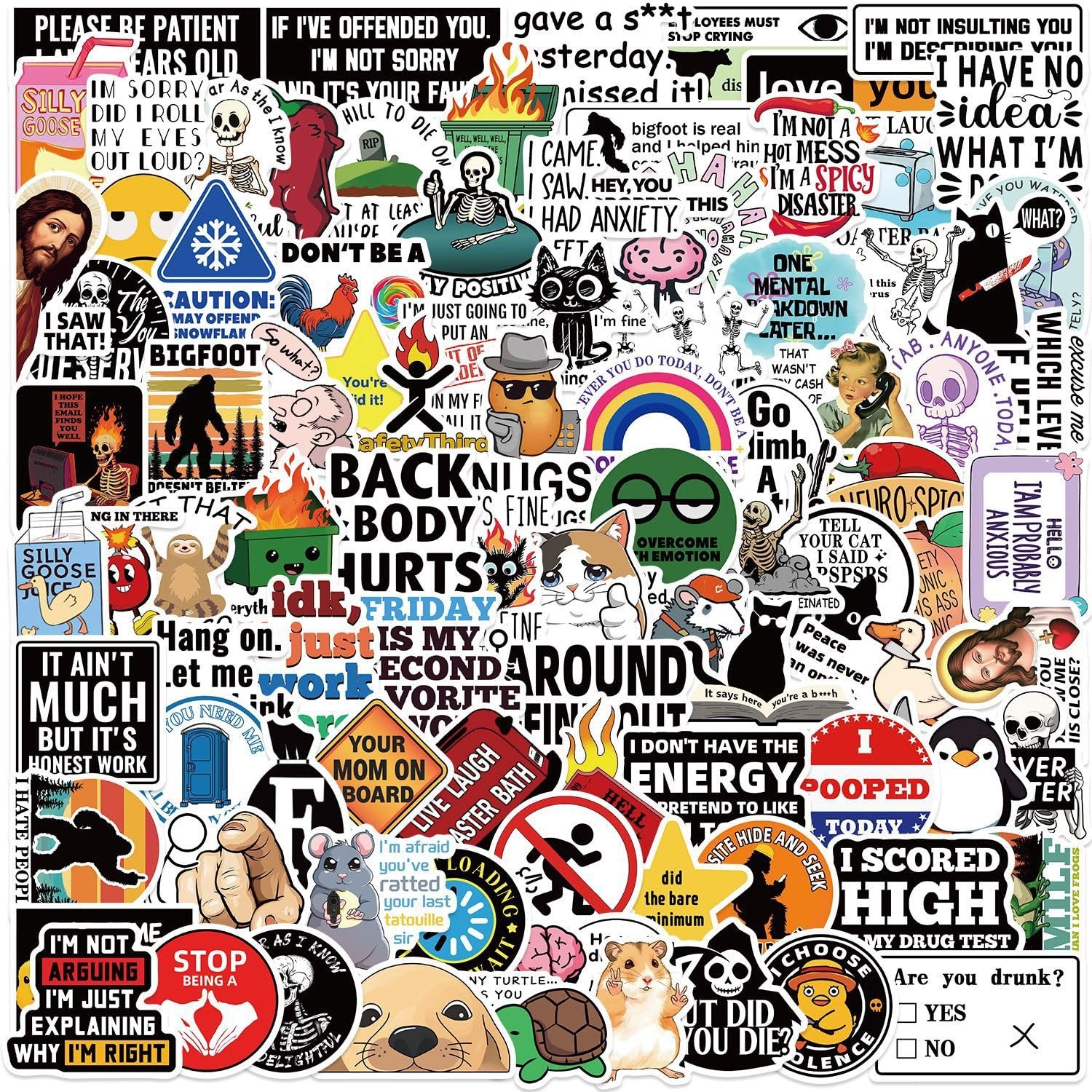 Loerykt 100 PCS Funny Stickers for Adults Snarky Meme Prank Meme100