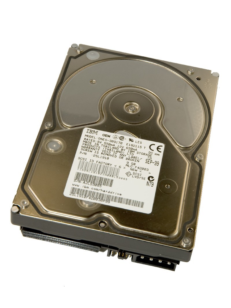 IBM Ultrastar 18ES DNES-309170 25L1910 9 GB Internal Desktop HDD