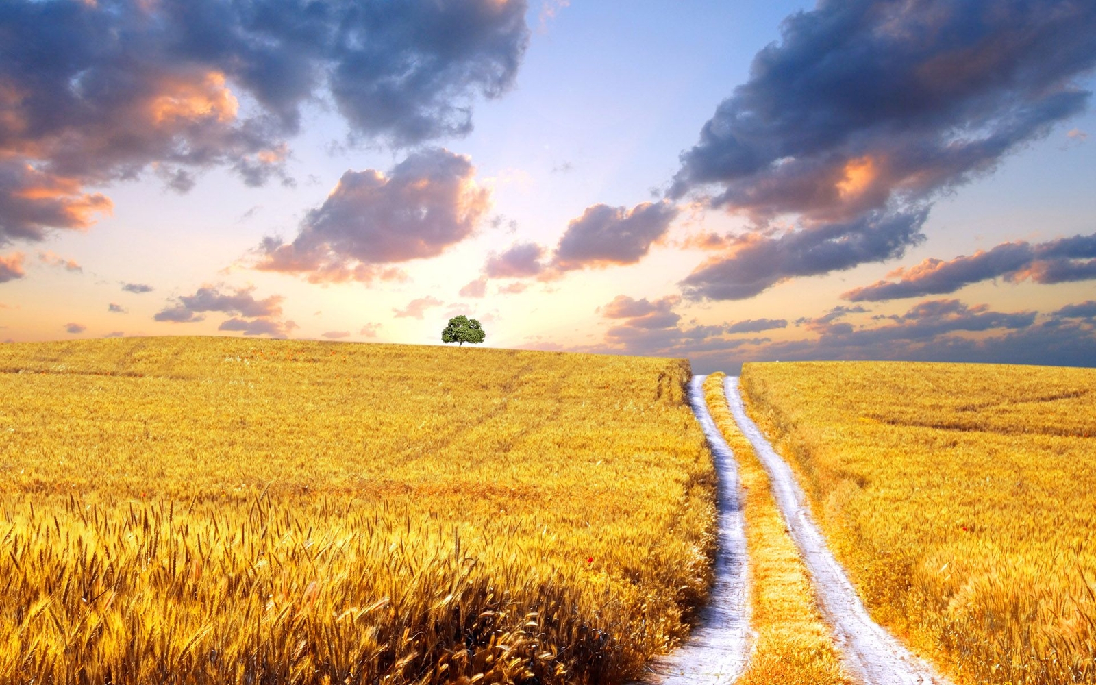 Landscape nature yellow field clouds sky sunset glow Custom Gaming Mat Desk