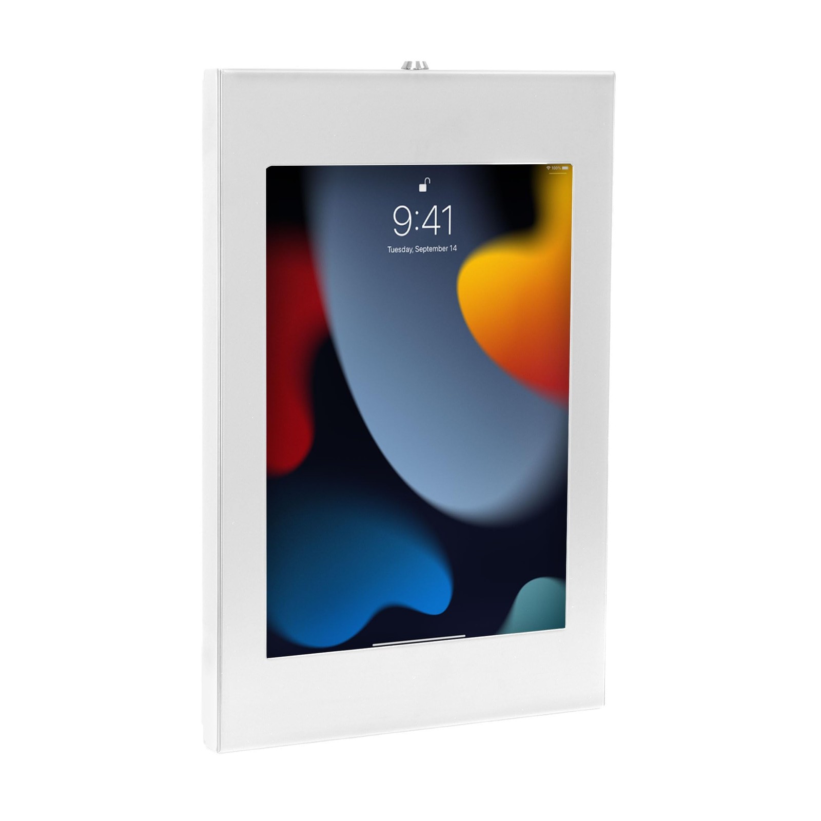 Mount-It Anti-Theft iPad Kiosk Wall Mount, Lockable Low-Profile Steel Enclosure