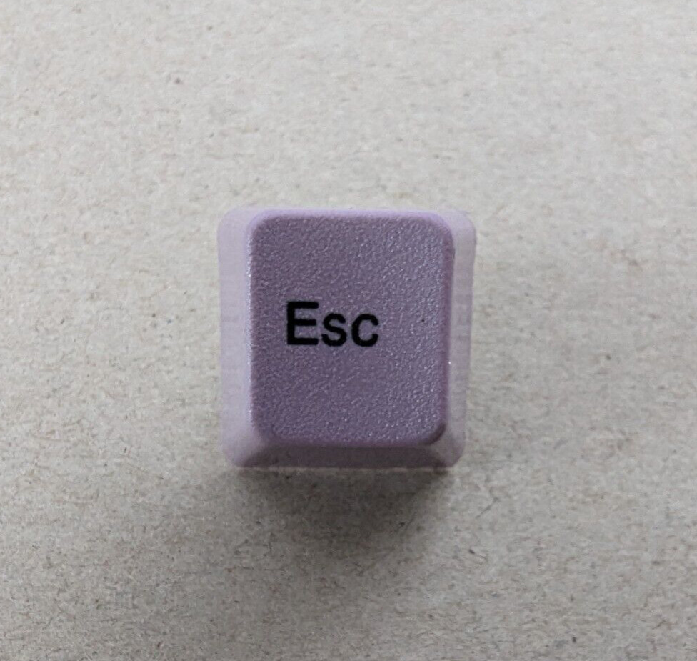 Purple ESC Key Cap for IBM Model M Replacement Unicomp Lilac BRAND NEW