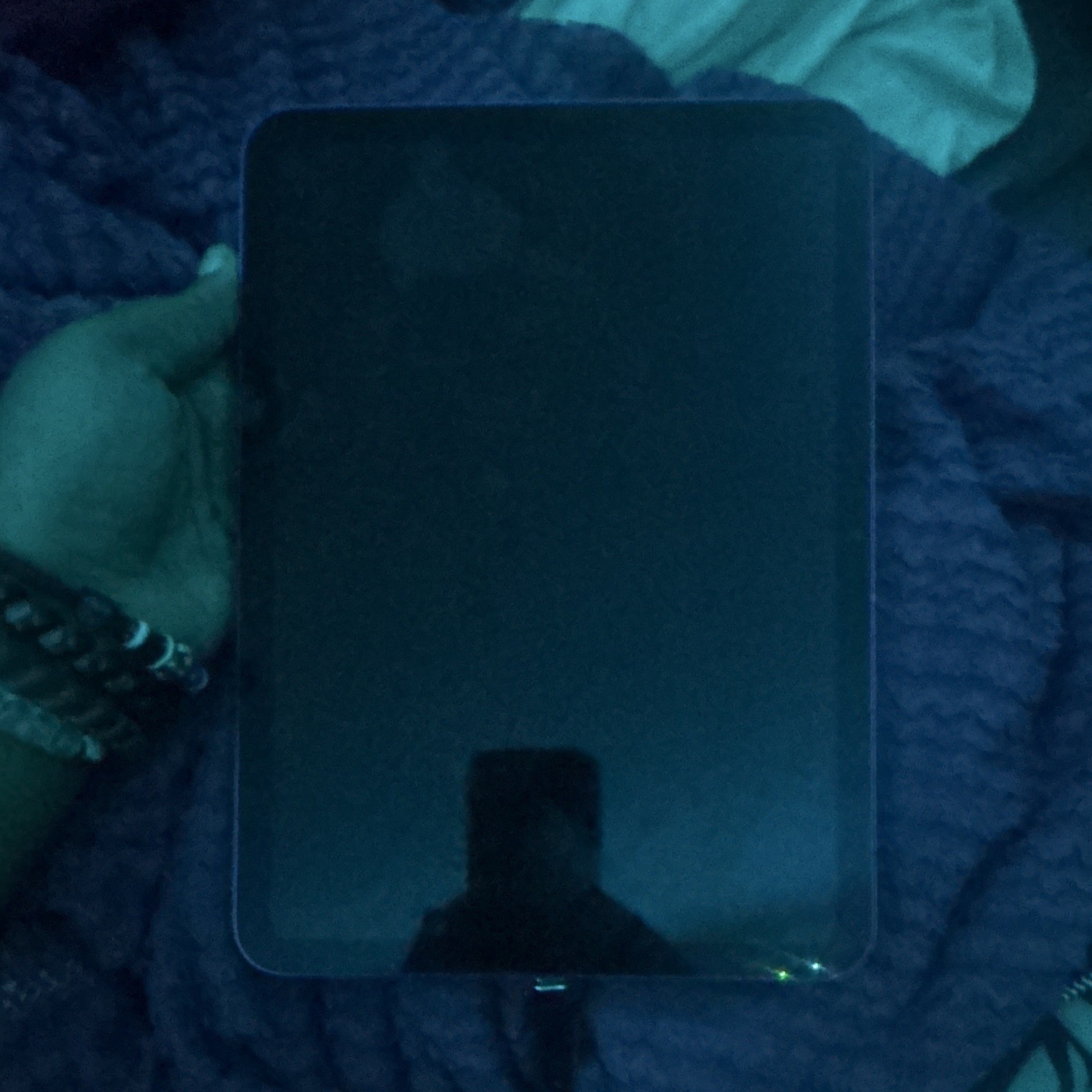 Apple iPad 11 in 512GB