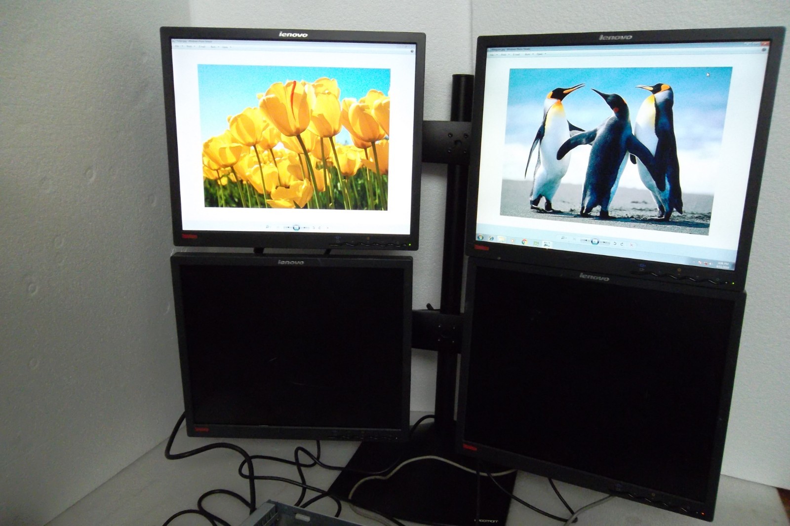 LOT-4 Lenovo ThinkVision L1900pA Monitor 19" VGA DVI w/ Ergotron Stand 4431-HE1