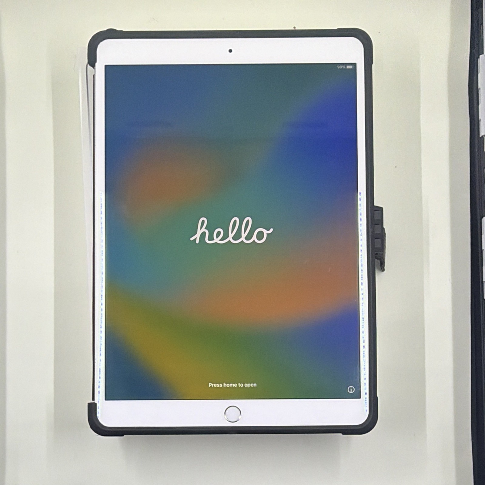 Apple iPad Pro 1st Generation A1701 256GB Wi-Fi 10.5" Bundle with Case